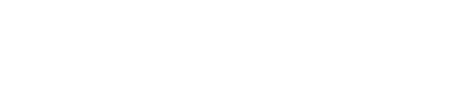 ShineToLead